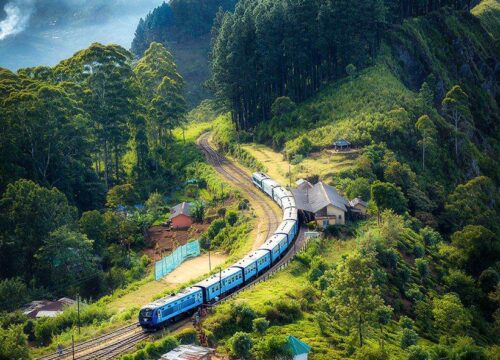 Discovery Island Kayak Tour