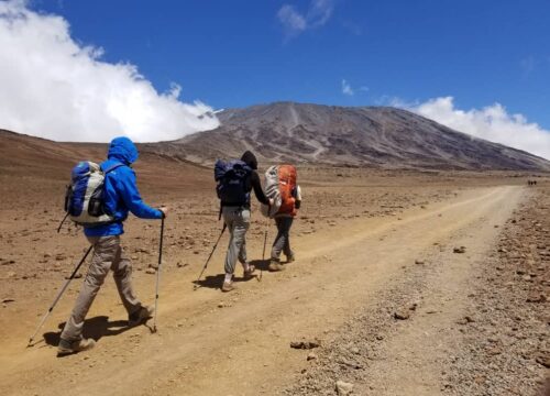 5 Days Mount Kilimanjaro Climb – Marangu Route (Hut Accommodation)