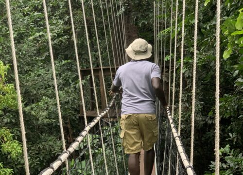 1 Day Kilimanjaro Trek to Mandara Hut – Marangu Route