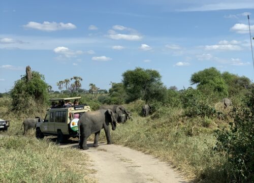 Ngorongoro Crater Day Trip