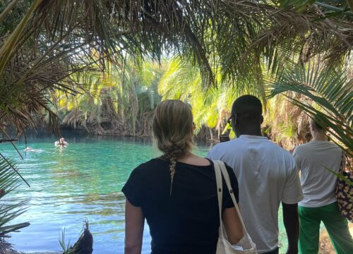 Day Trip to Materuni Waterfalls & Coffee Tour