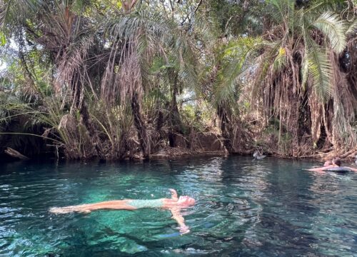Day Trip to Chemka (Kikuletwa) Hot Springs