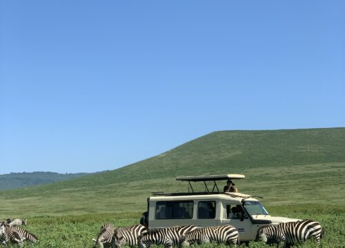 Ngorongoro Crater Day Trip