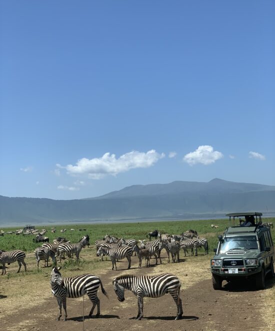 6-Day Ndutu Calving Season Safari – Serengeti Great Migration & Lake Eyasi