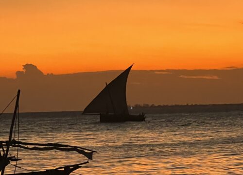 10-Day Luxury Tanzania Safari and Zanzibar Island Escape
