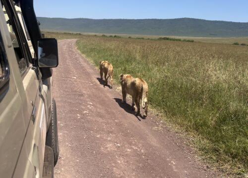 3-Day Cultural Safari & Lake Eyasi Experience