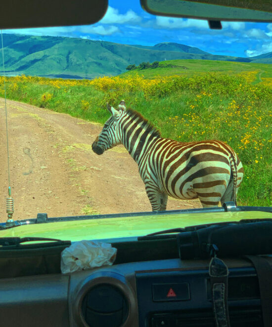 Day Trip to Lake Manyara National Park