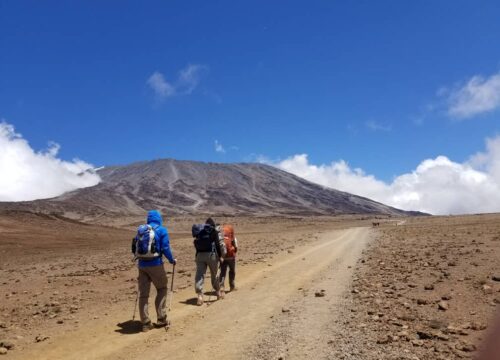 9 Days Northern Circuit Kilimanjaro Trek – Summit Uhuru Peak