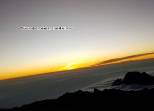 8 Days Lemosho Route Kilimanjaro Climb – Scenic Trek to Uhuru Peak