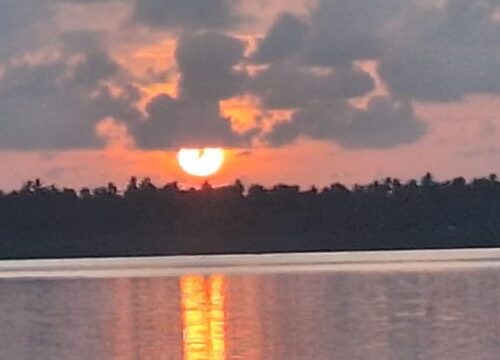 4-Day Authentic Diving Safari to Mafia Island (8 Dives)