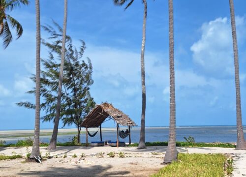 7-Day Mafia Island Whale Shark & Beach Holiday